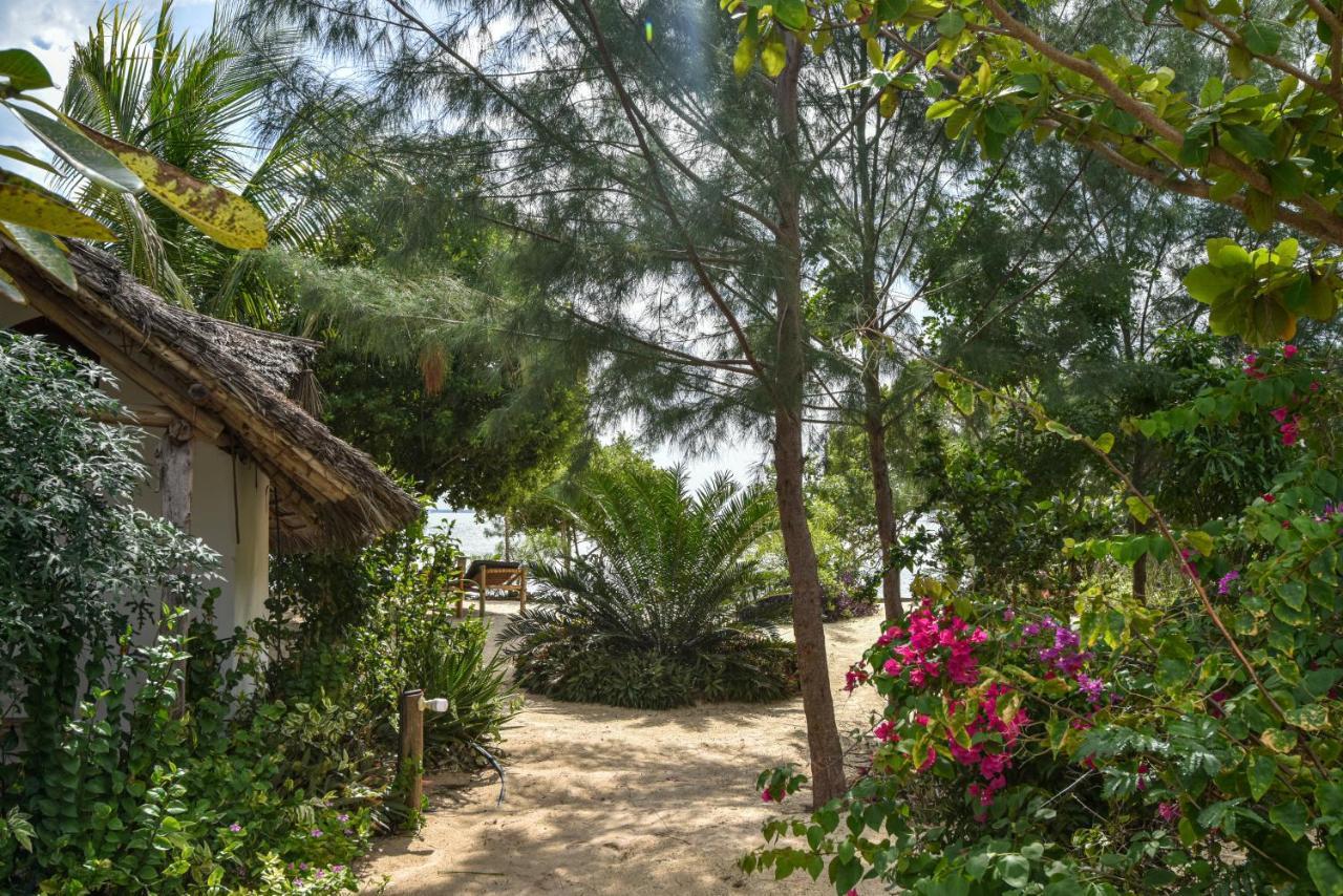 Afya Village At The Sea Michamvi Dış mekan fotoğraf
