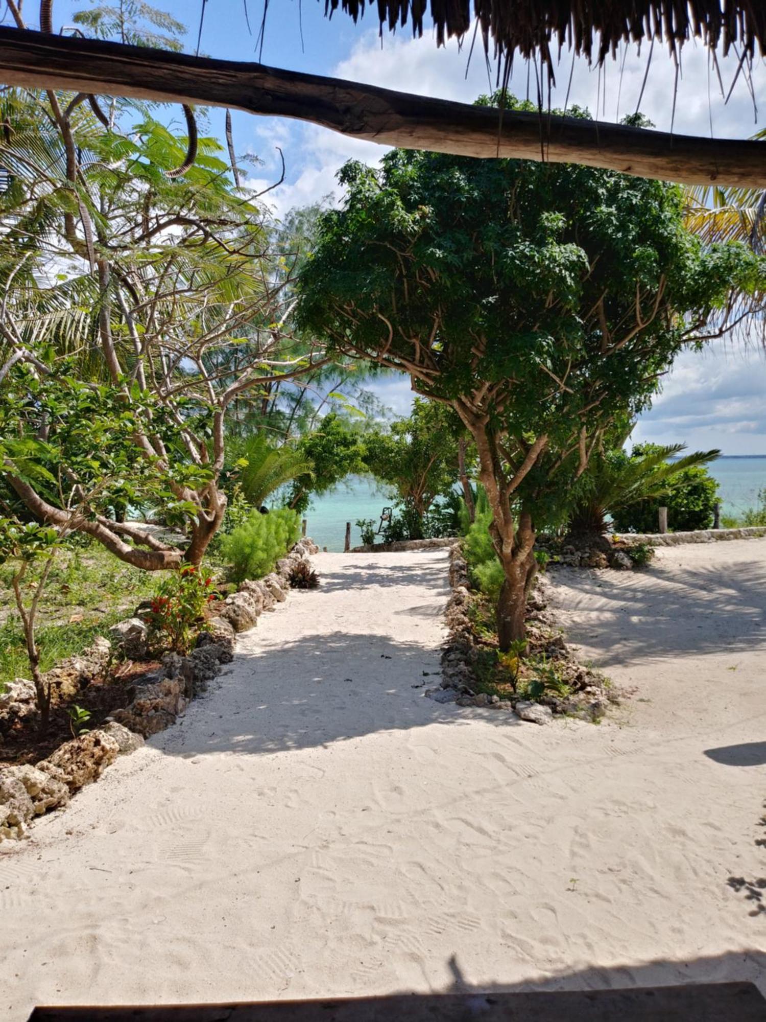 Afya Village At The Sea Michamvi Oda fotoğraf